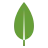 MongoDB